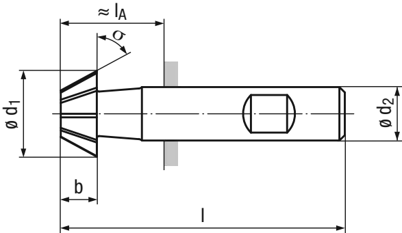 Schema HSS Winkelfräser 3218