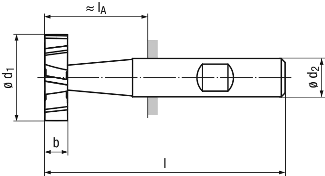 Schema HSS Schlitzfräser 3018