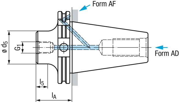Schema WZ-Aufn.DIN69871 AD/B; SK für Gigant-modular-sprinter Gr.10