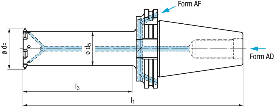 Schema Gigant-sprinter-IKZN DIN 69871 - SK50 Zirkular-Gewindefräskörper für 4-Zahn-Wendeplatten Gr.13
